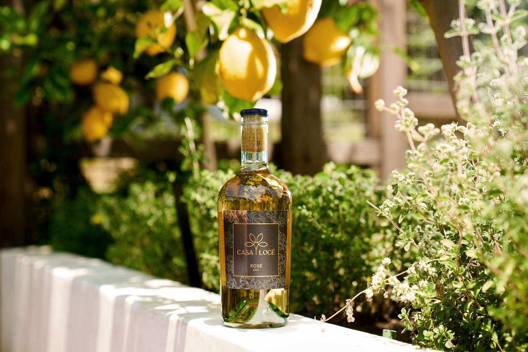 CASA LOCÈ ROSÈ Wine