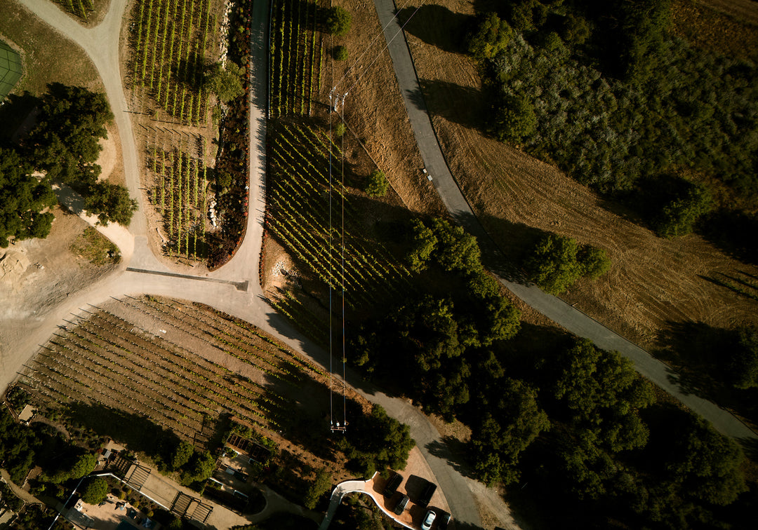 Top View of CASA LOCÈ Vineyards